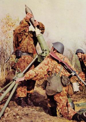 Soldat FDU DDR NVA/Grenztruppen Webpelzkragen zur Winterjacke Felddienst